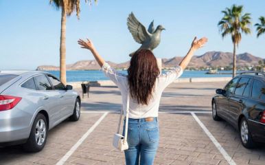 Baja de autos por extravío o por robo en el padron estatal de Baja California Sur