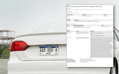 Placas para auto de personas con discapacidad en el padron estatal de Baja California Sur