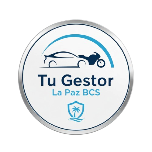 Tu Gestor La Paz BCS